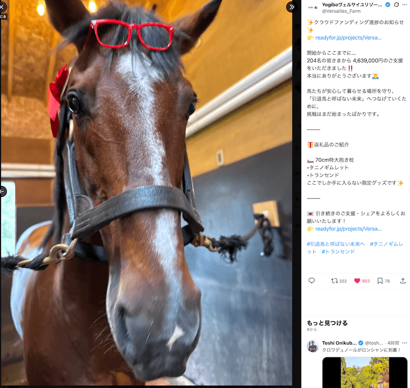 Yogiboヴェルサイユリゾート牧場を支援するクラウドファンディング 返礼品のモデルになっているトランセンド