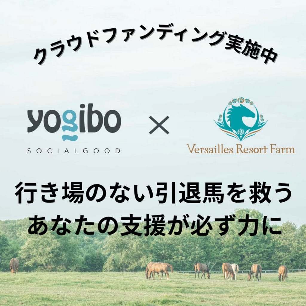 Yogiboヴェルサイユリゾート牧場を支援するクラウドファンディング「より多くの引退馬の幸せな余生を願う」