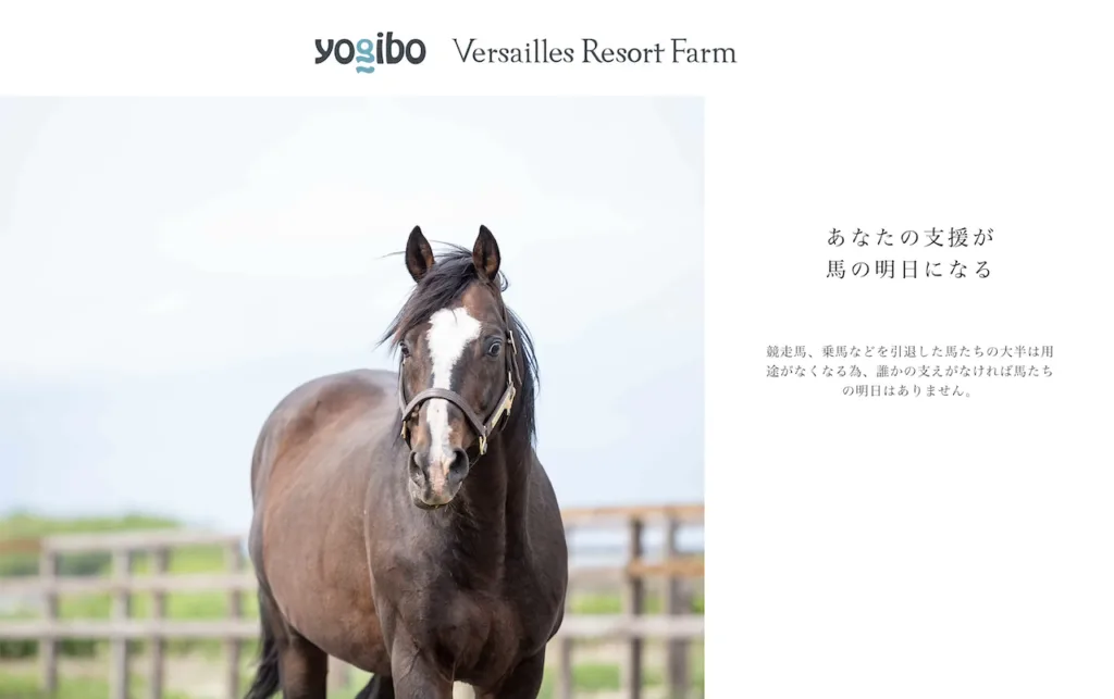 引退馬を1頭でも多く救う】Yogiboヴェルサイユ牧場のクラウドファン