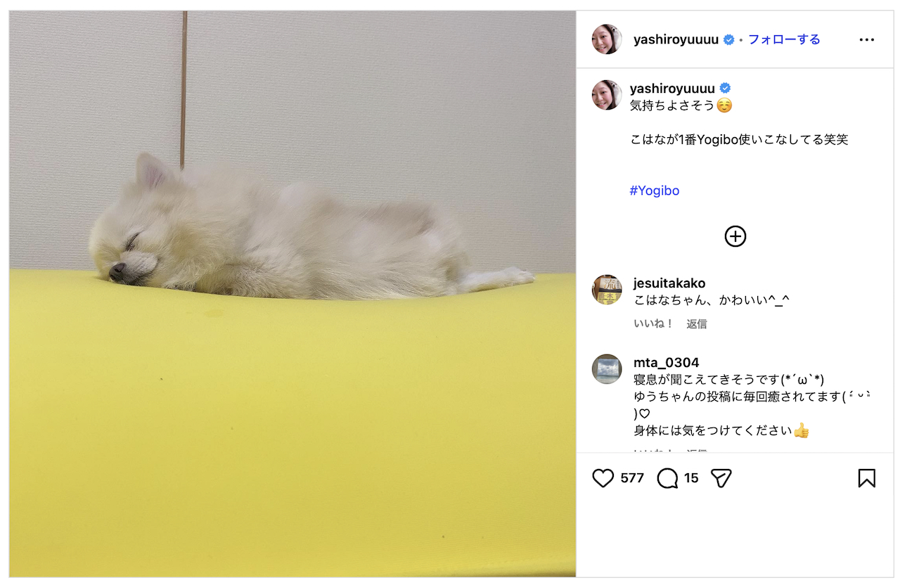 芸能人のやしろ優さん愛犬がヨギボーソファでリラックスして寝ている様子